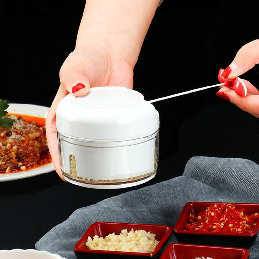 Mini Food Garlic Vegetable Grinder